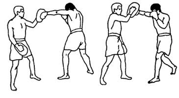 На малюнку показано положення лап для виконання бічних ударів