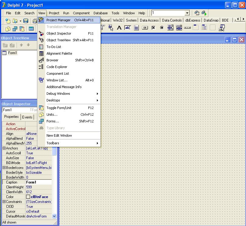 Тепер відкриваємо вікно менеджера проектів (Project Manager) вибором пункту головного меню View -> Project Manager або натиснувши клавіші Ctrl + Alt + F11
